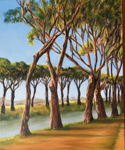 Maritime Pines - Evening - For Sale